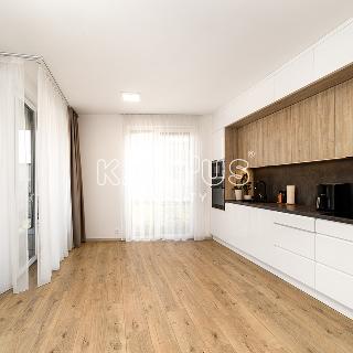 Pronájem bytu 2+kk 60 m² Ostrava, F. X. Riepla