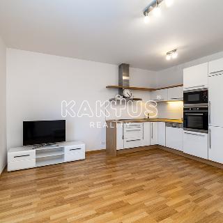 Pronájem bytu 2+kk 54 m² Ostrava, Jantarová