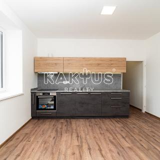 Pronájem bytu 1+1 46 m² Ostrava, Oblá