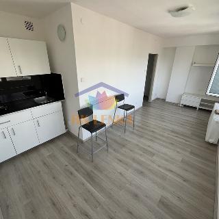 Pronájem bytu 1+kk a garsoniéry 30 m² Frýdek-Místek, Janáčkova