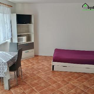 Pronájem bytu 1+kk a garsoniéry 32 m² Kladruby, Husova