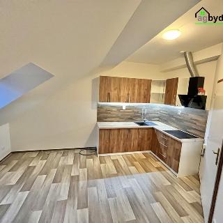 Pronájem bytu 2+kk 40 m² Třemošná, Plzeňská