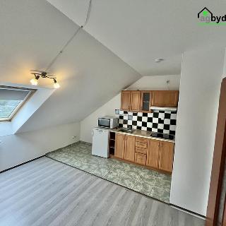 Pronájem bytu 2+kk 37 m² Třemošná, Plzeňská