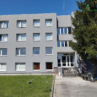 Pronájem bytu 2+kk 47 m² Dnešice