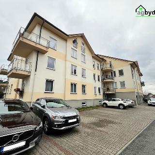 Pronájem bytu 1+kk a garsoniéry 27 m² Štěnovice, Čižická