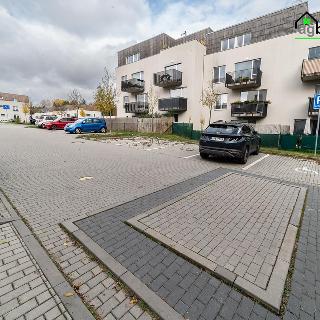 Pronájem parkovacího místa 11 m² Plzeň, Špačková