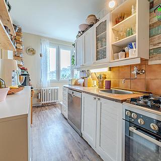 Prodej bytu 3+1 61 m&sup2; Plzeň