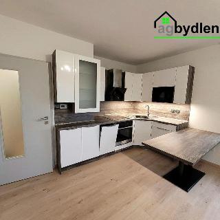 Pronájem bytu 2+kk 44 m² Blovice, Pod Tratí