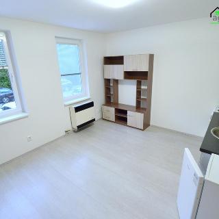 Pronájem bytu 1+kk, garsoniery 27 m² Štěnovice