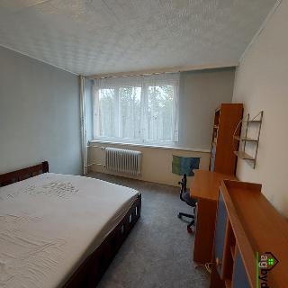 Pronájem bytu 3+1 57 m² Tachov, Bělojarská