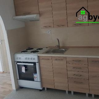 Pronájem bytu 2+kk 49 m² Planá, Bohušova