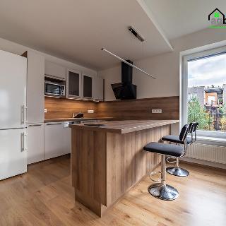 Pronájem bytu 2+kk 58 m² Plzeň, Špačková