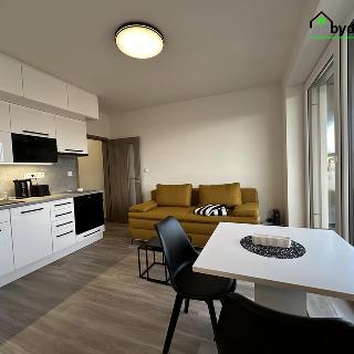 Pronájem bytu 2+kk 45 m² Přeštice, Řičákova