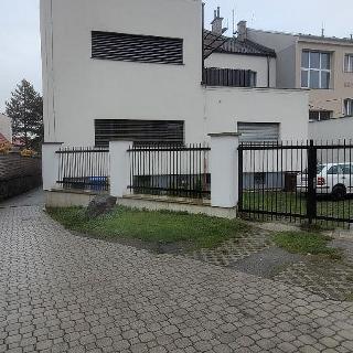 Pronájem bytu 1+kk a garsoniéry 25 m² Blovice, Masarykovo náměstí