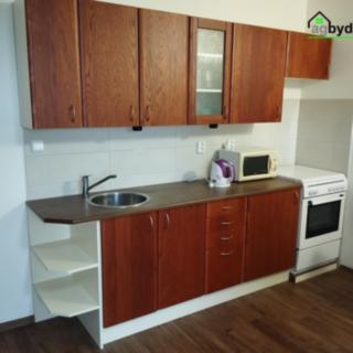 Pronájem bytu 1+kk a garsoniéry 30 m² Plzeň, Krašovská