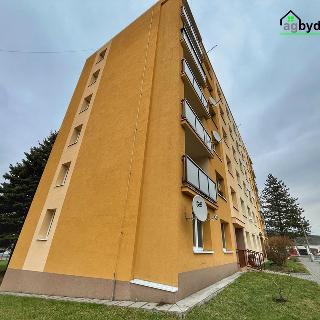 Pronájem bytu 3+1 64 m² Holýšov, Pod Makovým vrchem