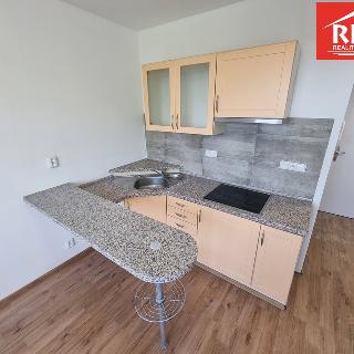 Pronájem bytu 1+kk a garsoniéry 19 m² Mariánské Lázně, Kubelíkova