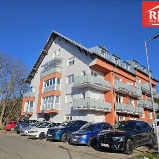 Prodej bytu 5+kk 117 m² Lázně Kynžvart, Královské svahy