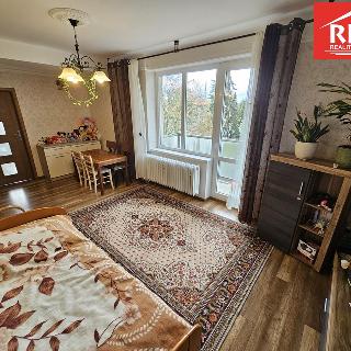 Prodej bytu 3+1 65 m² Mariánské Lázně, Žižkova