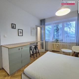 Pronájem bytu 1+kk a garsoniéry 20 m² Brno, Neumannova