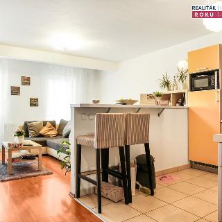 Pronájem bytu 1+kk a garsoniéry 60 m² Brno, Vodní