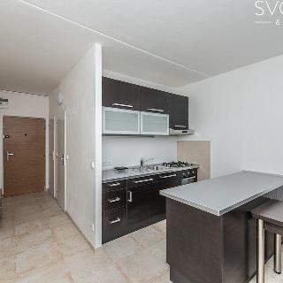 Pronájem bytu 1+1 45 m² Hradec Králové, Václavkova