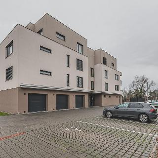 Pronájem bytu 2+kk 47 m² Hradec Králové, Farářství