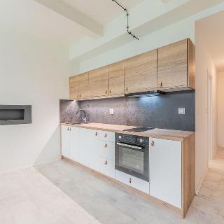 Prodej bytu 1+kk a garsoniéry 29 m² Hradec Králové, Šafaříkova