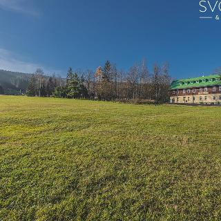 Prodej stavební parcely 3 000 m² Orlické Záhoří, 