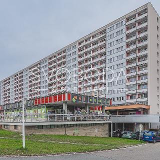 Pronájem bytu 1+kk a garsoniéry 28 m² Hradec Králové, třída Edvarda Beneše