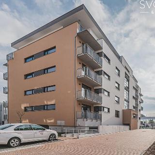 Prodej bytu 4+kk 119 m² Hradec Králové