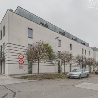 Pronájem bytu 2+kk 44 m² Hradec Králové, Plácelova