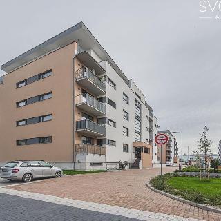 Pronájem bytu 2+kk 76 m² Hradec Králové, Antonína Petrofa