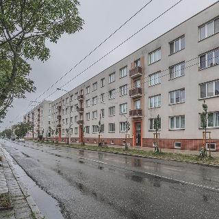 Pronájem bytu 3+kk 65 m² Hradec Králové, třída SNP