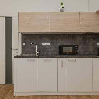 Pronájem bytu 1+kk a garsoniéry 24 m² Hradec Králové, V Lipkách