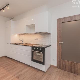 Pronájem bytu 1+kk a garsoniéry 34 m² Hradec Králové, Antonína Petrofa