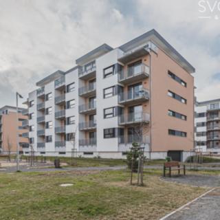 Pronájem bytu 2+kk 50 m² Hradec Králové