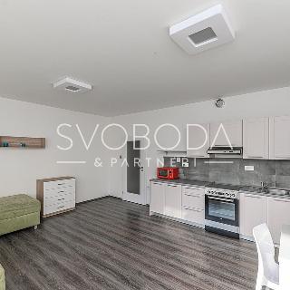 Pronájem bytu 1+kk a garsoniéry 38 m² Hradec Králové, V Koutech