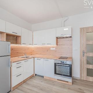 Pronájem bytu 1+kk a garsoniéry 31 m² Hradec Králové, Selicharova