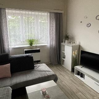 Prodej bytu 2+1 61 m² Ústí nad Labem, Křižíkova