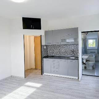 Pronájem bytu 1+kk a garsoniéry 28 m² Praha, Lysinská