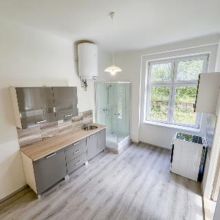 Pronájem bytu 2+1 25 m² Praha, Lysinská