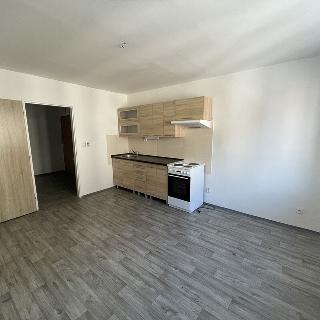 Prodej bytu 1+1 39 m² Ústí nad Labem, Těšínská