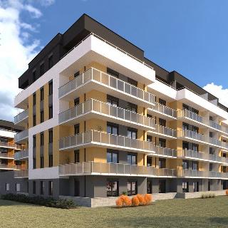 Prodej bytu 2+kk 49 m² České Budějovice