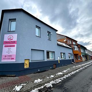 Prodej Ostatních komerčních prostor 300 m² Veselí nad Moravou
