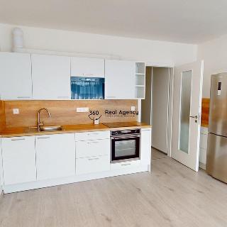 Pronájem bytu 1+kk a garsoniéry 46 m² Praha, Hofbauerova