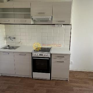 Pronájem bytu 1+1 50 m² Hradec Králové