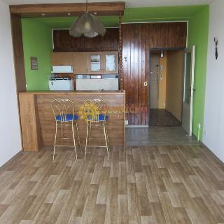 Pronájem bytu 1+kk, garsoniery 30 m² Hradec Králové