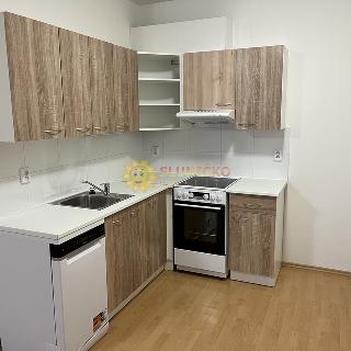 Pronájem bytu 2+kk 65 m² Hradec Králové, Rybova