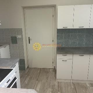 Pronájem pokoje 20 m² Hradec Králové, Wolkerova